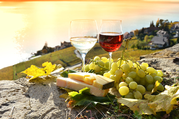 Wine grapes and cheese