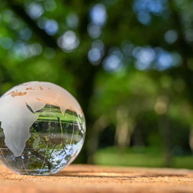 Glass globe in front of trees